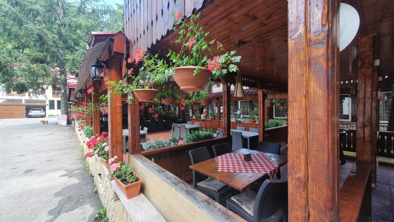 Complex Turistic Caprioara Hotel Baia Mare Buitenkant foto