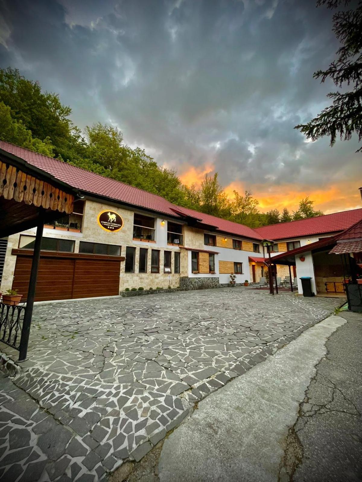 Complex Turistic Caprioara Hotel Baia Mare Buitenkant foto